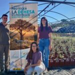 La Diputaci&oacute;n y la Universidad de Huelva ensayan especies y tratamientos para mejorar la resistencia de encinas y alcornoques a la seca y a la sequ&iacute;a